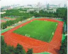 體育球場2